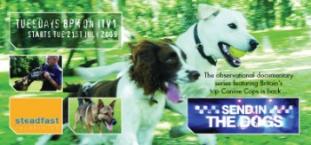 DL-sendInDogs.qxd