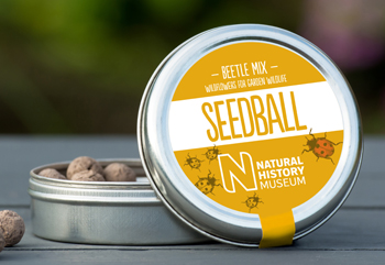 Seedball-Natural-History-Museum-beetleMix